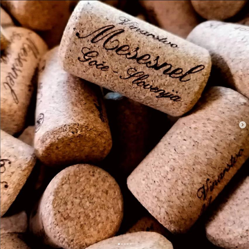 441876Screenshot 2022-09-15 at 09-41-25 Cejkotova Domacija cejkotova_domacija  Instagram photos an…